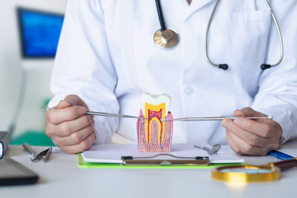 Best Emergency Cosmetic Dentistry (e.g., broken veneers) in Kaufman, TX